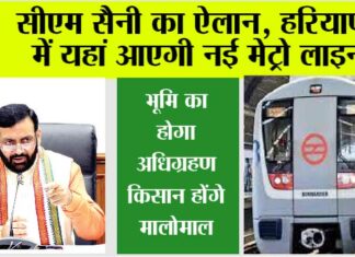 Haryana Metro News