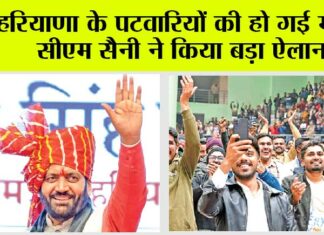 Haryana News