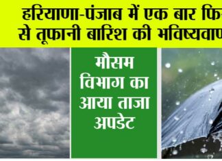 Haryana Punjab Weather News