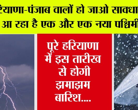 Haryana Punjab Weather Alert