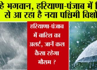 Haryana Punjab Weather Update
