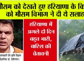 Haryana Weather: मौसम को देखते हुए हरियाणा के किसानों को मौसम विभाग ने दी ये सलाह… Haryana Weather