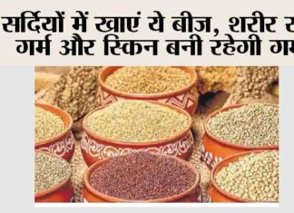 Health News: सर्दियों में खाएं ये बीज, शरीर रहेगा गर्म और स्किन बनी रहेगी गर्म… Health News