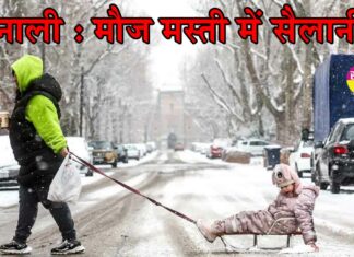 Himachal Snowfall: मनाली में सैलानी, भारी बर्फबारी के बीच की मौज-मस्ती! सैलानियों के लिए IMD का अलर्ट जारी Himachal Snowfall