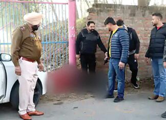 Jalandhar News