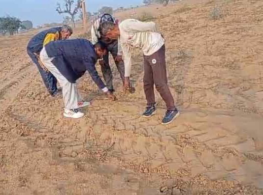 Leopard News: गुलपुरा और राघा बड़ी में दिखे तेंदुए के पैरों के निशान, वन विभाग ने किया सतर्क! Leopard News