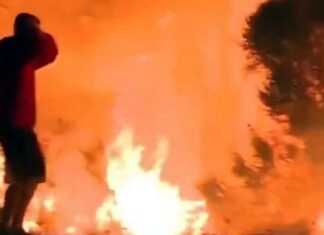 Los Angeles Fire Update