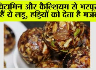 Makar Sankranti