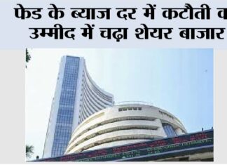 Stock Market