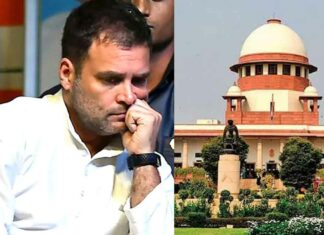 Rahul Gandhi News