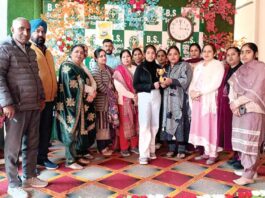 Sirsa News
