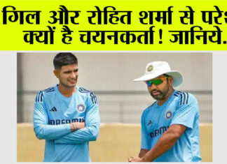 Cricket News