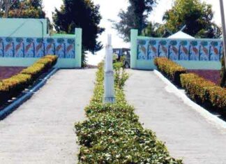 Punjab News
