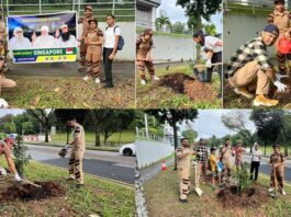Singapore: सिंगापुर की साध संगत ने लगाए 21 पौधे Singapore