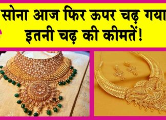 Gold Price Today