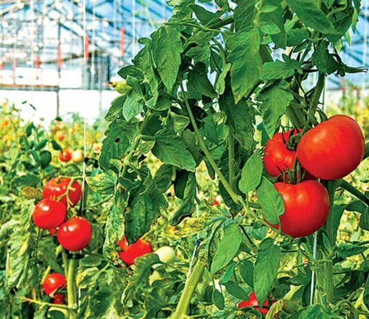 Agriculture News