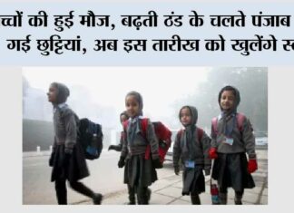 Punjab School Holidays