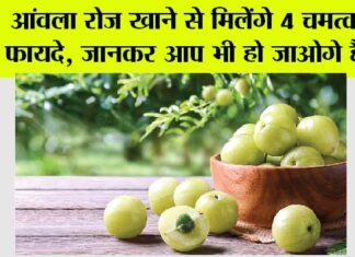 Amla Benefits