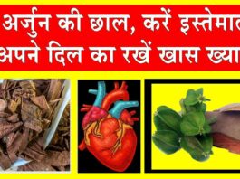 Arjun Chaal Benefits