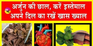 Arjun Chaal Benefits