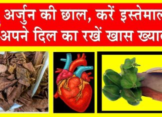 Arjun Chaal Benefits