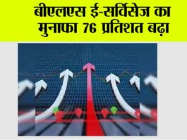 BLS e-Services profit: