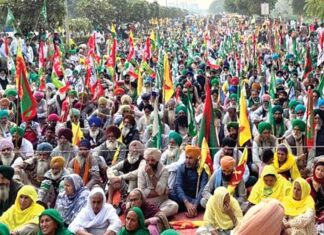 Patiala News