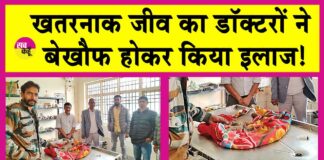 Sirsa News