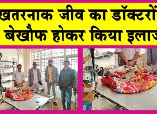 Sirsa News
