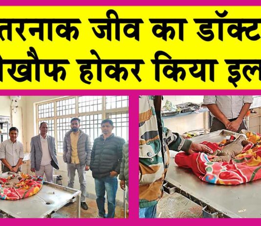 Lizard Treated: जिसका लोगों में है खौफ, उसी खतरनाक जीव का डॉक्टरों ने बेख़ौफ़ होकर किया इलाज! Sirsa News