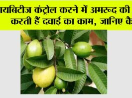 Guava Leaf for Diabetes