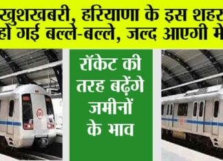 Haryana Metro News