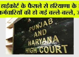 Haryana News