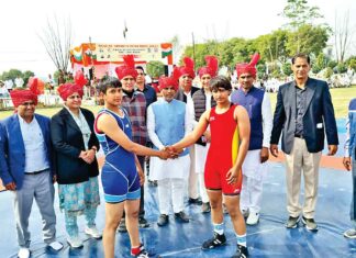 Haryana News