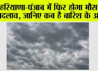 Haryana-Punjab Weather News