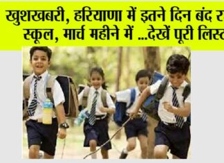Haryana School Holiday News:
