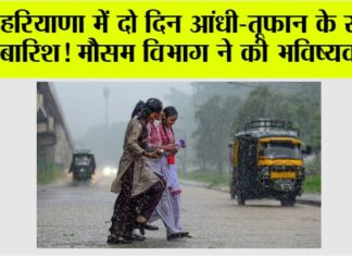 Haryana Weather