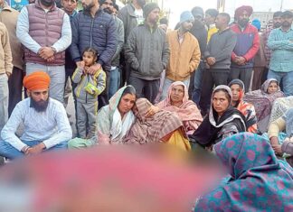 Malerkotla News