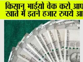 PM Kisan Status Check