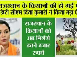 Rajasthan Budget 2025 LIVE: राजस्थान के किसानों की हो गई मौज, डिप्टी सीएम दिया कुमारी ने किया बड़ा ऐलान Rajasthan Budget 2025 LIVE