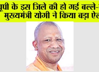 UP News