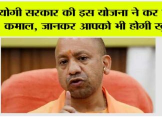 UP News