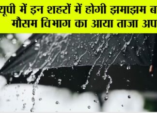 UP Weather News