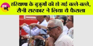 haryana news