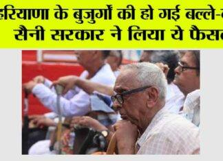 haryana news