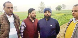 Sirsa News