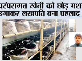 Agriculture News