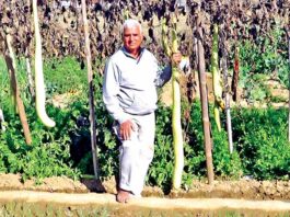 Agriculture News