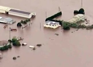 Australia Flood News
