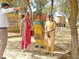 Sirsa News